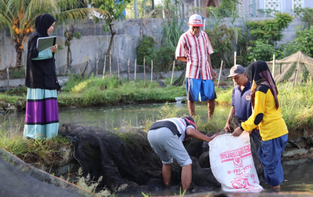 Peluang Bisnis Budidaya Ikan di Desa